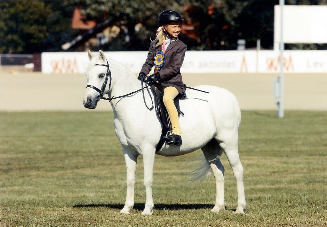 Show champion Welsh Mountain Pony offspring bred at Verdrefawr Stud in Carmarthenshire